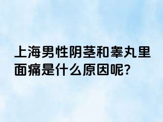 上海男性阴茎和睾丸里面痛是什么原因呢?