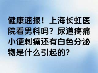 健康速报！上海长虹医院看男科吗？尿道疼痛小便刺痛还有白色分泌物是什么引起的？