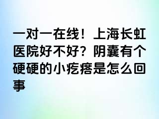 一对一在线！上海长虹医院好不好？阴囊有个硬硬的小疙瘩是怎么回事