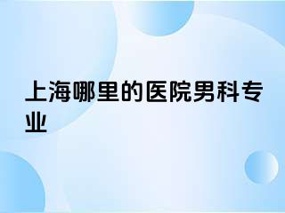 上海哪里的医院男科专业